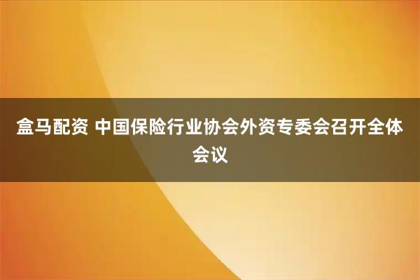 盒马配资 中国保险行业协会外资专委会召开全体会议